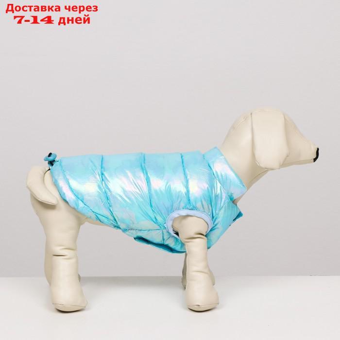 Куртка для собак двухсторонняя с утяжкой, размер 18(ДС 40 см,ОГ 50 см,ОШ 38 см),голубая - фото 3 - id-p227104881