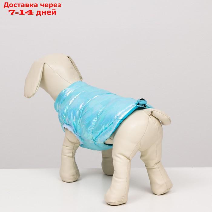 Куртка для собак двухсторонняя с утяжкой, размер 18(ДС 40 см,ОГ 50 см,ОШ 38 см),голубая - фото 4 - id-p227104881