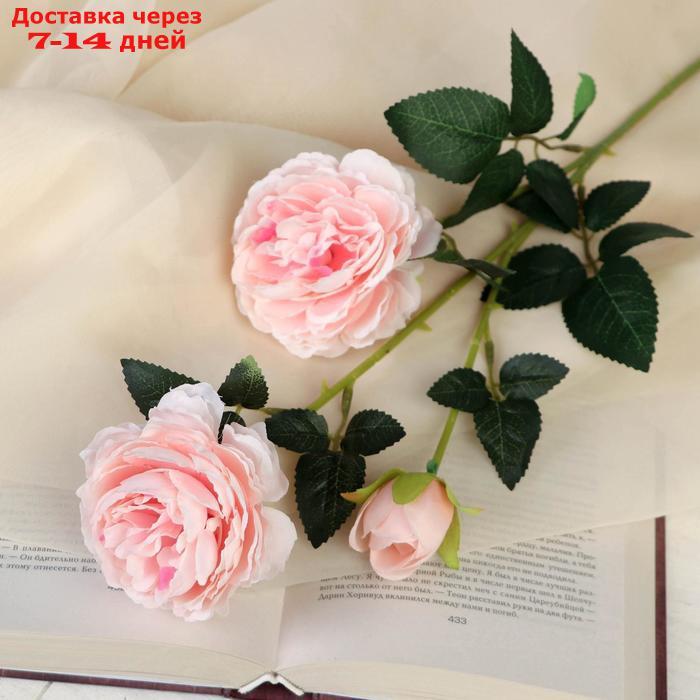Цветы искусственные "Роза терция" 8*60 см, розовый - фото 1 - id-p227103269