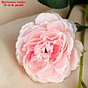 Цветы искусственные "Роза терция" 8*60 см, розовый, фото 2