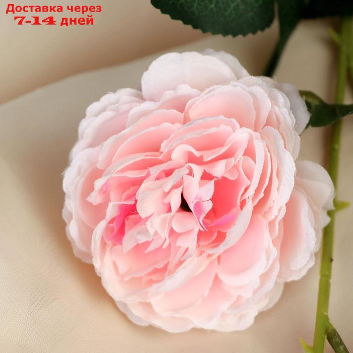 Цветы искусственные "Роза терция" 8*60 см, розовый - фото 2 - id-p227103269