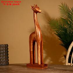 Сувенир "Жирафик" джампинис 17х7х55 см