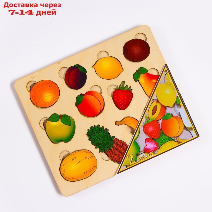 Развивающая доска "Большие фрукты", 2 слоя - фото 1 - id-p226956001