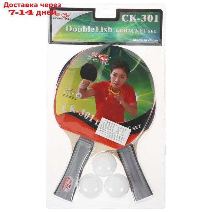 Набор для настольного тенниса Double Fish 2 ракетки и 3 мяча (301) - фото 1 - id-p227002706