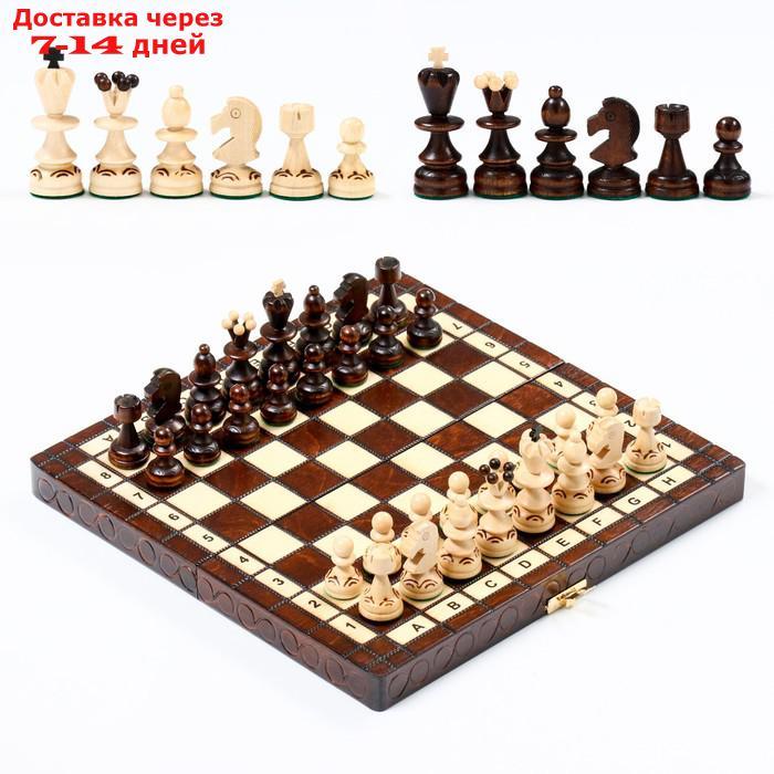 Шахматы "Жемчуг", 28 х 28 см, король h=6.5 см, пешка h-3 см - фото 1 - id-p227128831