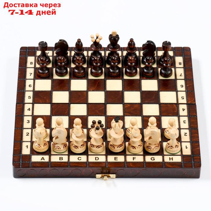 Шахматы "Жемчуг", 28 х 28 см, король h=6.5 см, пешка h-3 см - фото 3 - id-p227128831