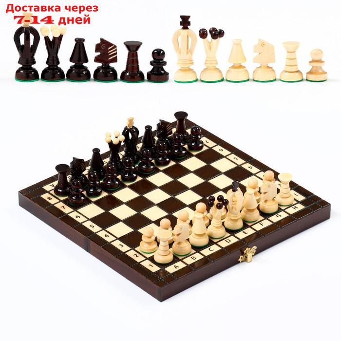 Шахматы "Королевские", 28 х 28 см, король h=6 см, пешка h-3 см - фото 1 - id-p227128833