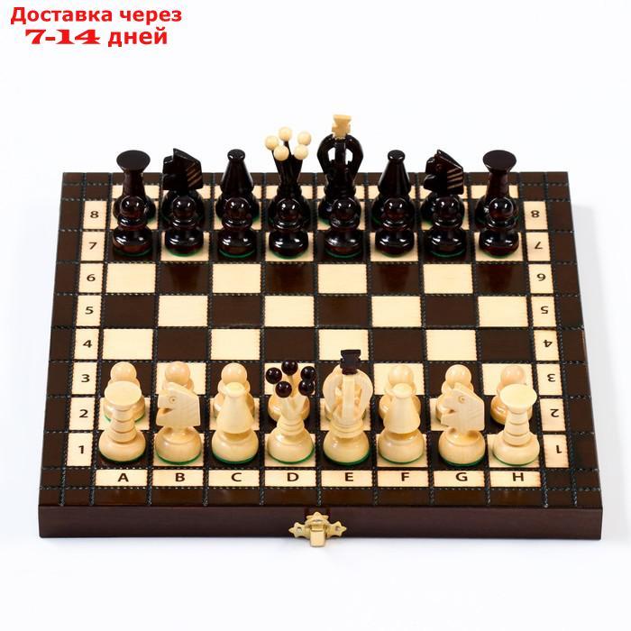 Шахматы "Королевские", 28 х 28 см, король h=6 см, пешка h-3 см - фото 3 - id-p227128833