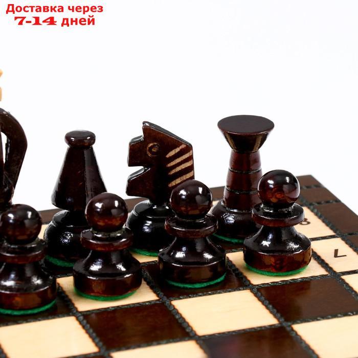 Шахматы "Королевские", 28 х 28 см, король h=6 см, пешка h-3 см - фото 5 - id-p227128833