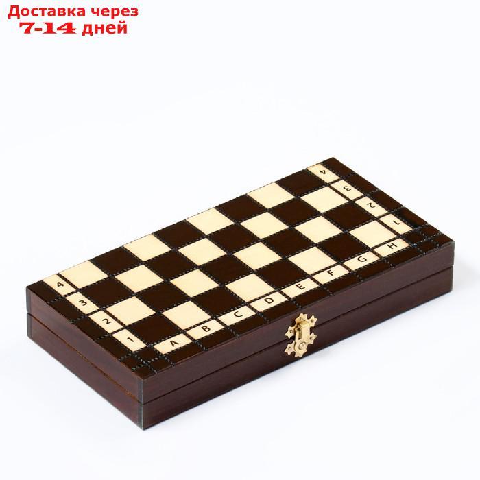 Шахматы "Королевские", 28 х 28 см, король h=6 см, пешка h-3 см - фото 6 - id-p227128833