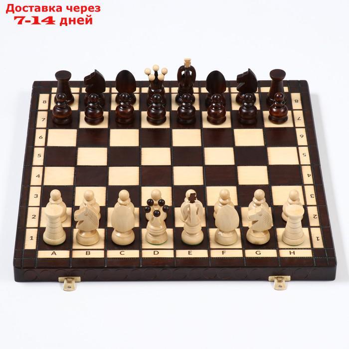 Шахматы "Королевские", 44 х 44 см, король h=8 см, пешка h-4.5 см - фото 3 - id-p227128834