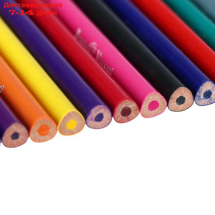 Карандаши цветные 24 цвета Funcolor пластиковые, в картонной тубе, МИКС - фото 4 - id-p226978995