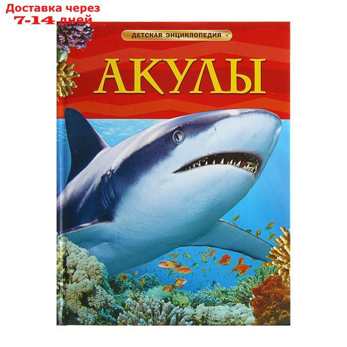 Детская энциклопедия "Акулы" - фото 1 - id-p226942421