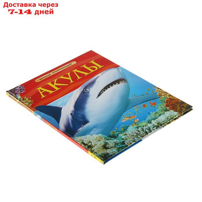 Детская энциклопедия "Акулы" - фото 2 - id-p226942421