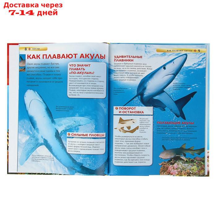 Детская энциклопедия "Акулы" - фото 3 - id-p226942421
