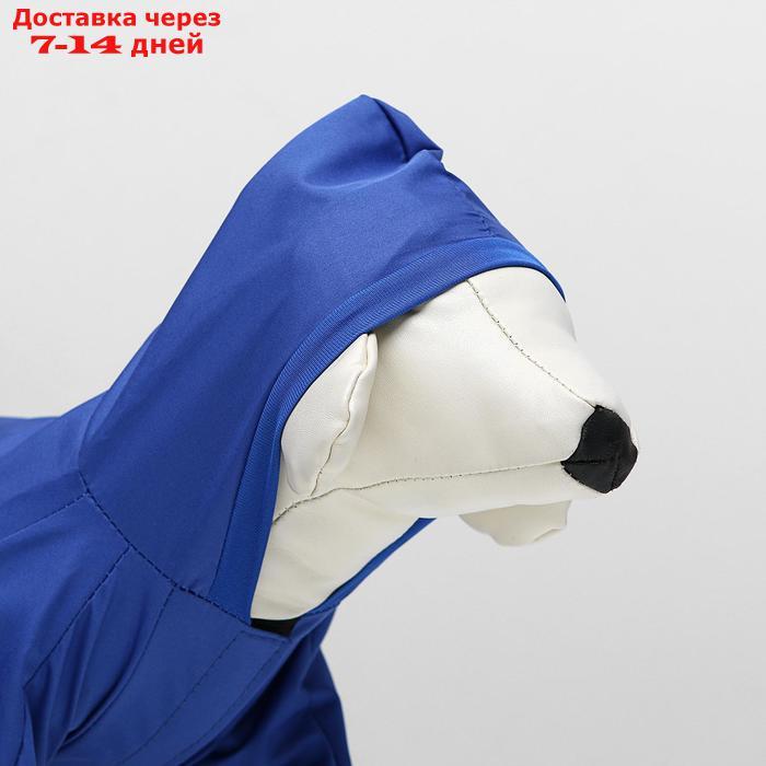 Комбинезон для собак, размер 3XL (дс 36-38 см, ош 36-37 см, ог 48-52 см), синий - фото 6 - id-p227097932