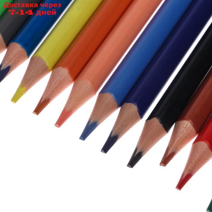 Карандаши цветные 36 цветов Funcolor пластиковые, МИКС - фото 5 - id-p226978999