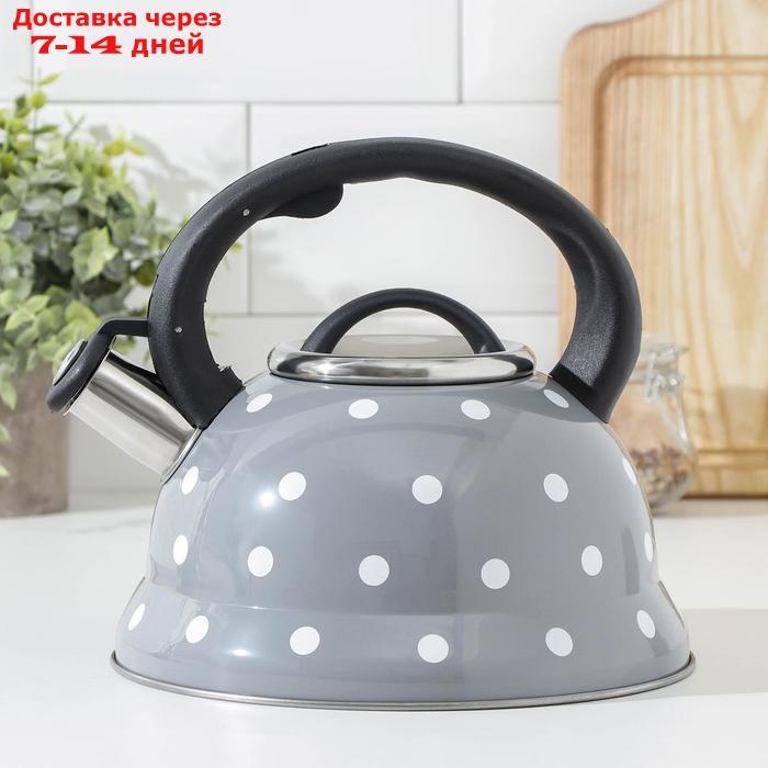 Чайник со свистком Доляна "Горошек", 2,8 л, цвет серый - фото 1 - id-p227103381