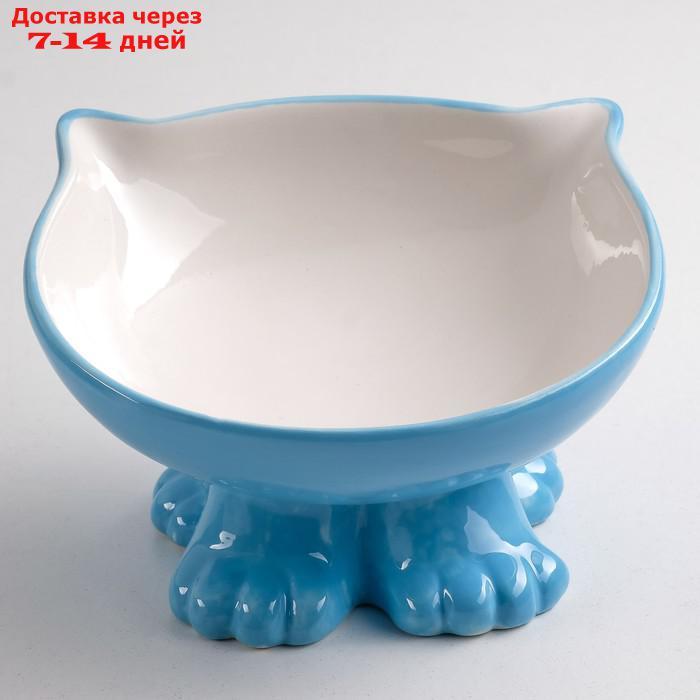 Миска керамическая "Киса" на подставке-лапках, 120 мл, голубая - фото 2 - id-p227108964