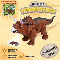 Динозавр "Трицератопс", откладывает яйца, проектор, свет и звук, цвет коричневый