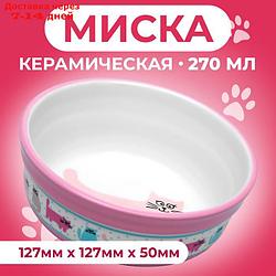 Миска керамическая "Кошачья жизнь", 350 мл, 12,7 х 5 см, розовая