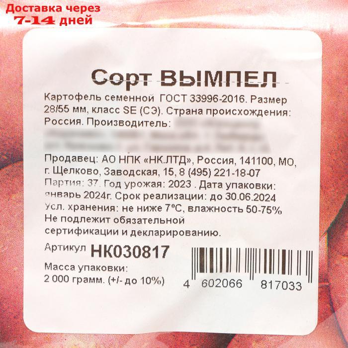 Семенной картофель "Вымпел" 2 кг Супер Элита, р/р 28/55 - фото 3 - id-p227110941