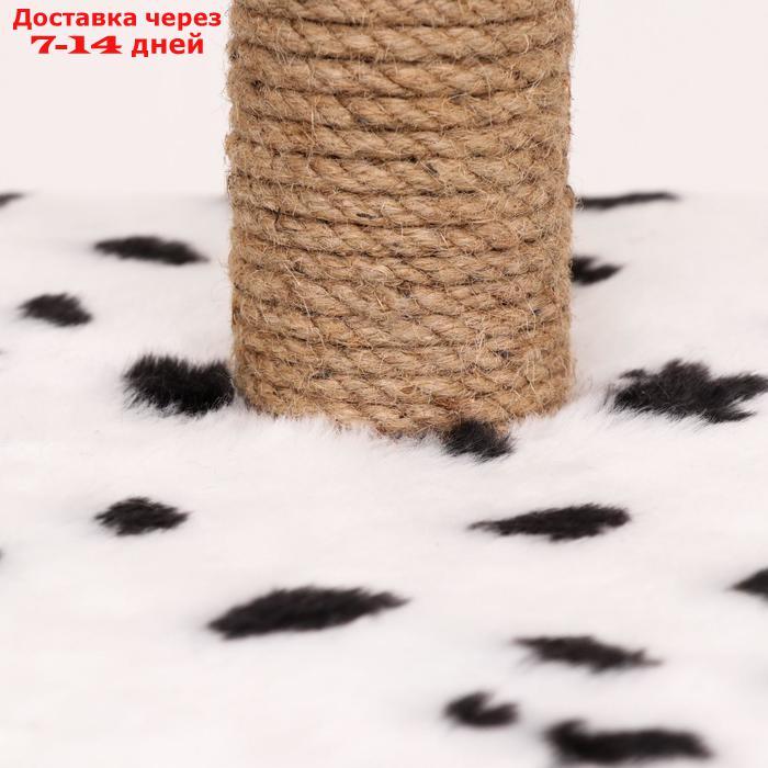 Домик-когтеточка "Квадратный с площадкой и полкой" для кошек, 65х51х173 см, джут, далматинец - фото 6 - id-p227097952