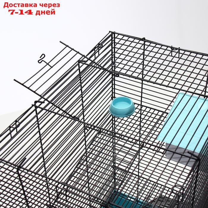 Клетка для грызунов "Пижон" №5, с 3 этажами, укомплектованная, 41 х 30 х 58 см, бирюзовая - фото 8 - id-p227097953