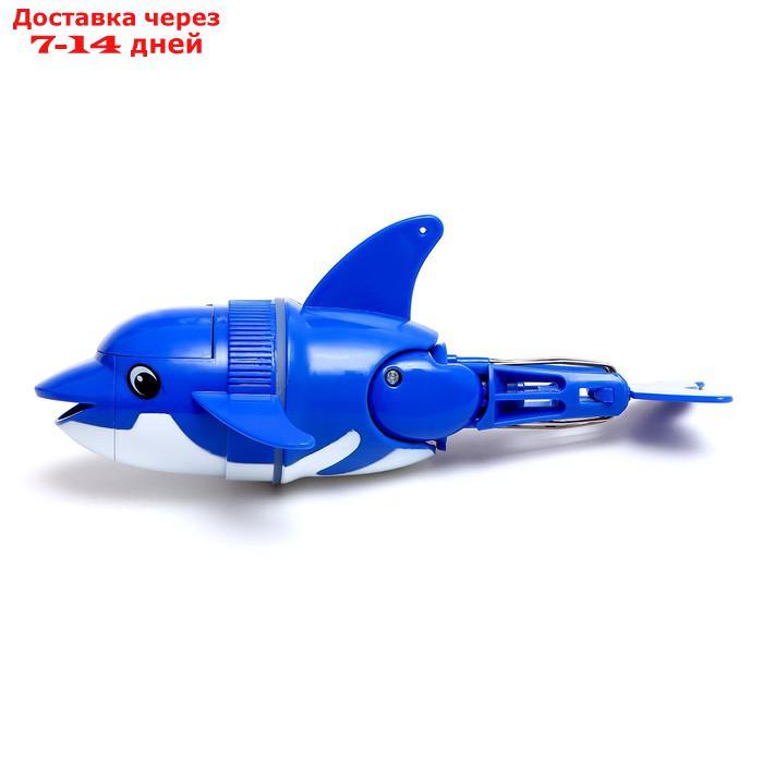 Кит "Синий", плавает в воде, работает от батареек, цвет синий - фото 2 - id-p227123905