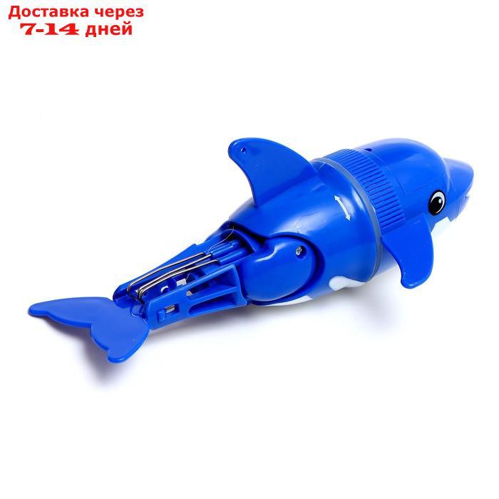 Кит "Синий", плавает в воде, работает от батареек, цвет синий - фото 3 - id-p227123905