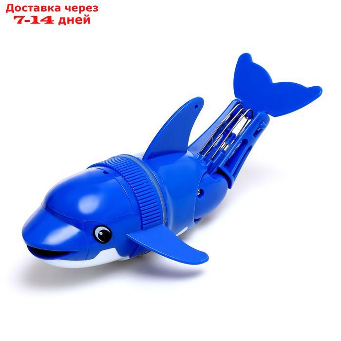 Кит "Синий", плавает в воде, работает от батареек, цвет синий - фото 4 - id-p227123905