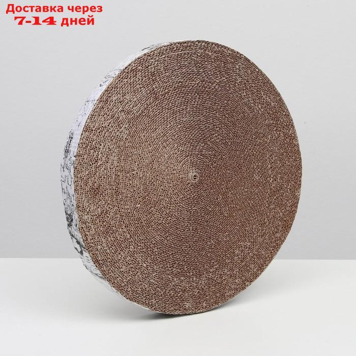 Гофрокогтеточка "Пижон" высокая круглая "Спил березы", с пропиткой, 40,5 х 4 см - фото 4 - id-p227097959