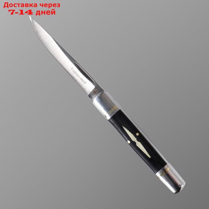 Нож складной "Горностай" сталь - 420, рукоять - сталь/дерево, клинок - 8 см - фото 1 - id-p227122781