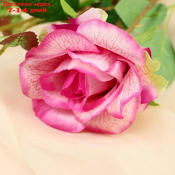 Цветы искусственные "Роза душистая" 9*50 см, бело-сиреневый - фото 2 - id-p227108989