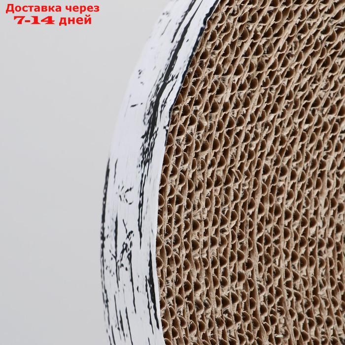 Гофрокогтеточка "Пижон" высокая круглая "Спил березы", с пропиткой, 28 х 4 см - фото 5 - id-p227097966