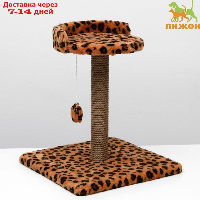 Когтеточка малая "Арена" с игрушкой, 40 х 40х 55 см, джут, леопард - фото 2 - id-p227098025