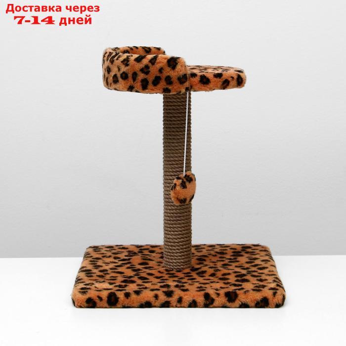 Когтеточка малая "Арена" с игрушкой, 40 х 40х 55 см, джут, леопард - фото 3 - id-p227098025