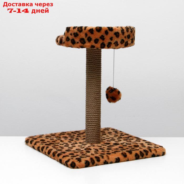 Когтеточка малая "Арена" с игрушкой, 40 х 40х 55 см, джут, леопард - фото 4 - id-p227098025