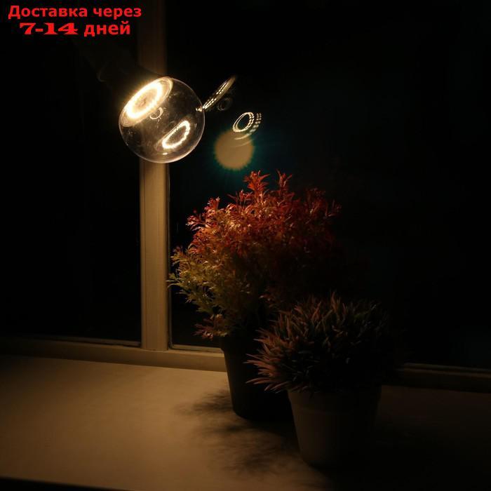 Светодиодная лампа для растений ( фитолампа дневного света ) Luazon 15 Вт, E27, 220В - фото 1 - id-p227101332