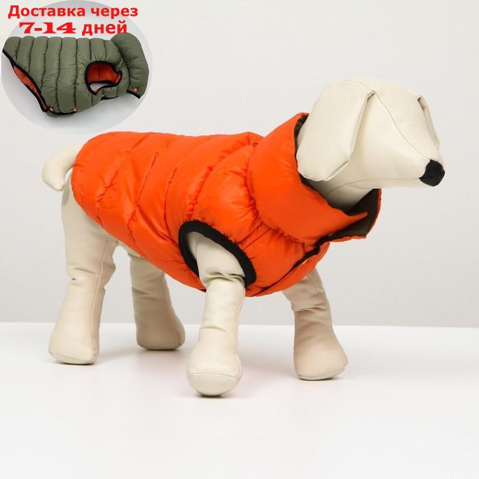 Куртка для собак двухсторонняя с воротником , XS22 (ДС 22, ОШ 19, ОГ 34),оранжевая/зелёная