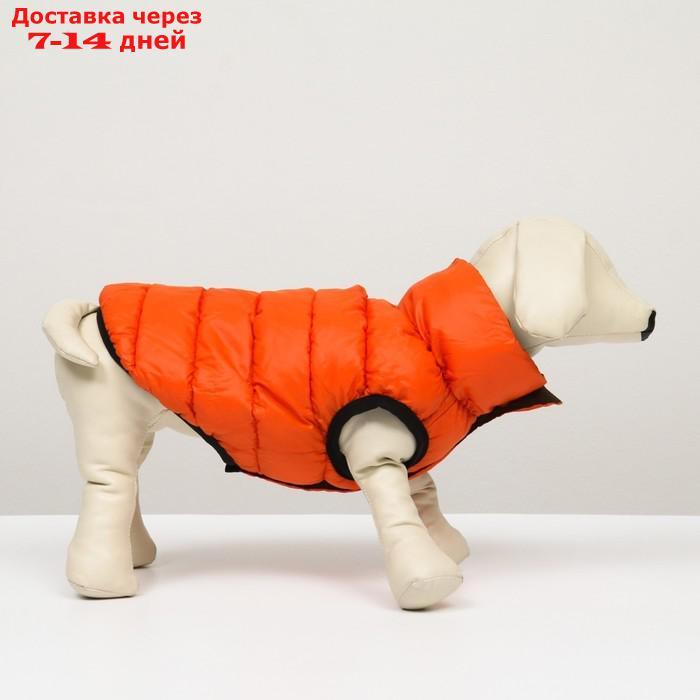 Куртка для собак двухсторонняя с воротником , XS22 (ДС 22, ОШ 19, ОГ 34),оранжевая/зелёная - фото 3 - id-p227105008