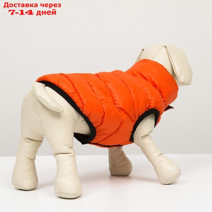 Куртка для собак двухсторонняя с воротником , XS22 (ДС 22, ОШ 19, ОГ 34),оранжевая/зелёная - фото 4 - id-p227105008