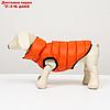 Куртка для собак двухсторонняя с воротником , XS22 (ДС 22, ОШ 19, ОГ 34),оранжевая/зелёная, фото 5