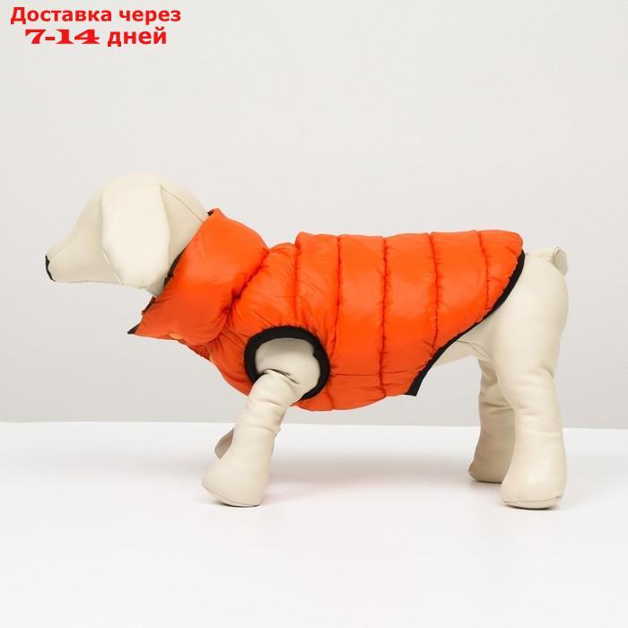 Куртка для собак двухсторонняя с воротником , XS22 (ДС 22, ОШ 19, ОГ 34),оранжевая/зелёная - фото 5 - id-p227105008
