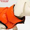 Куртка для собак двухсторонняя с воротником , XS22 (ДС 22, ОШ 19, ОГ 34),оранжевая/зелёная, фото 6