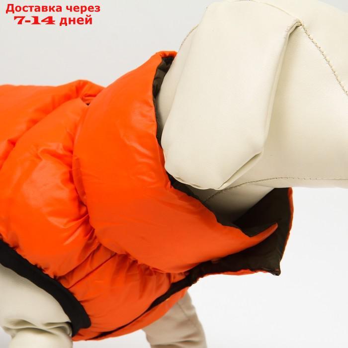 Куртка для собак двухсторонняя с воротником , XS22 (ДС 22, ОШ 19, ОГ 34),оранжевая/зелёная - фото 6 - id-p227105008