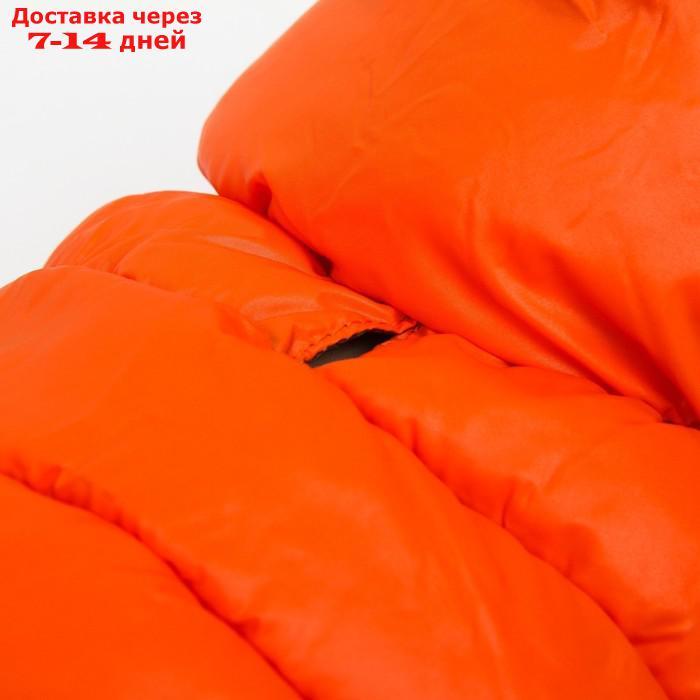 Куртка для собак двухсторонняя с воротником , XS22 (ДС 22, ОШ 19, ОГ 34),оранжевая/зелёная - фото 7 - id-p227105008