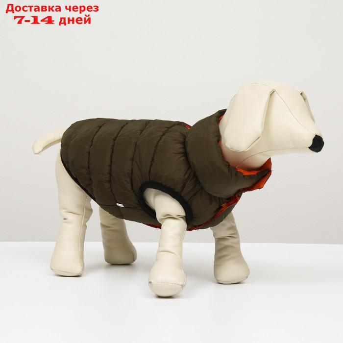Куртка для собак двухсторонняя с воротником , XS22 (ДС 22, ОШ 19, ОГ 34),оранжевая/зелёная - фото 8 - id-p227105008