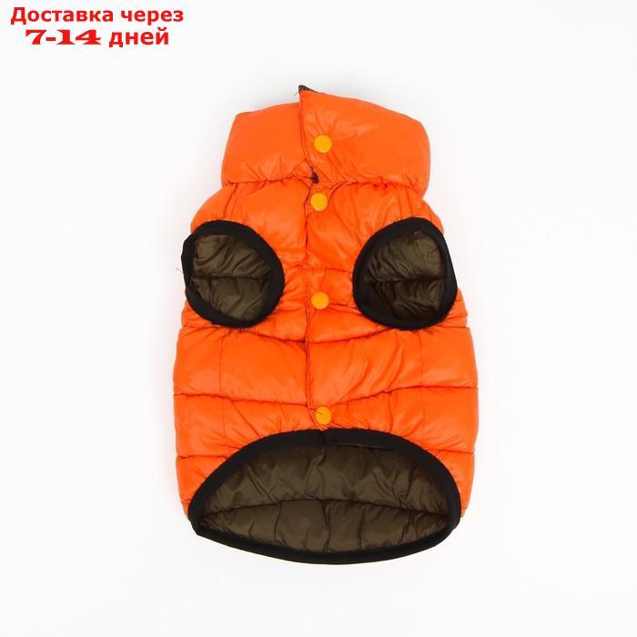 Куртка для собак двухсторонняя с воротником , XS22 (ДС 22, ОШ 19, ОГ 34),оранжевая/зелёная - фото 10 - id-p227105008