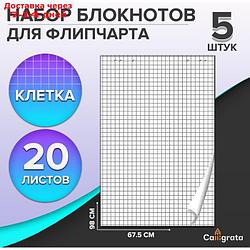 Набор 5шт блокнотов д/флипчарта 20л 67,5*98см клетка, 92%, 80г/м2, Calligrata